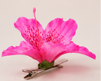 AMARIS – Pinza Floral Rosa Esculpida