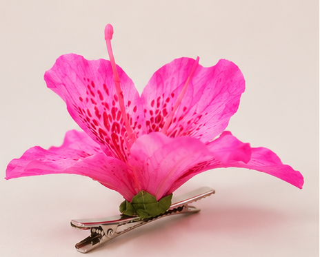 AMARIS – Pinza Floral Rosa Esculpida